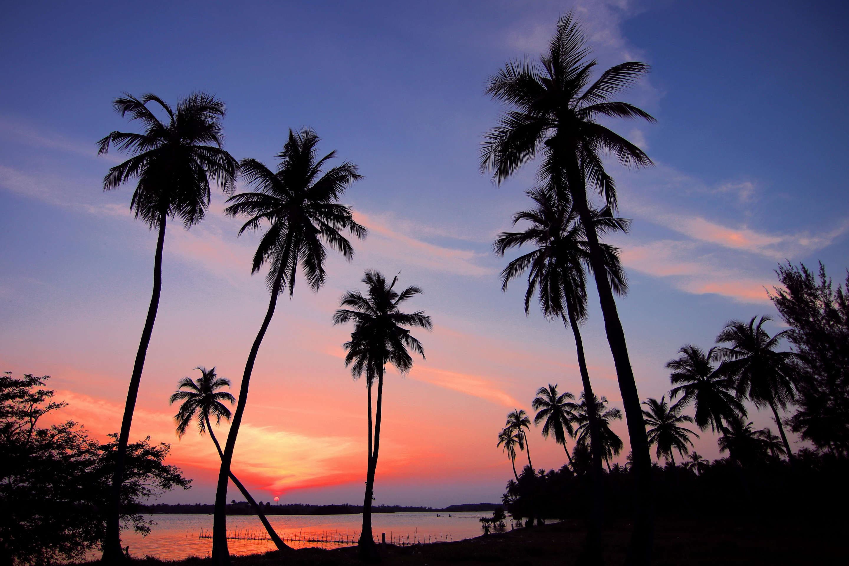 Beach sunset